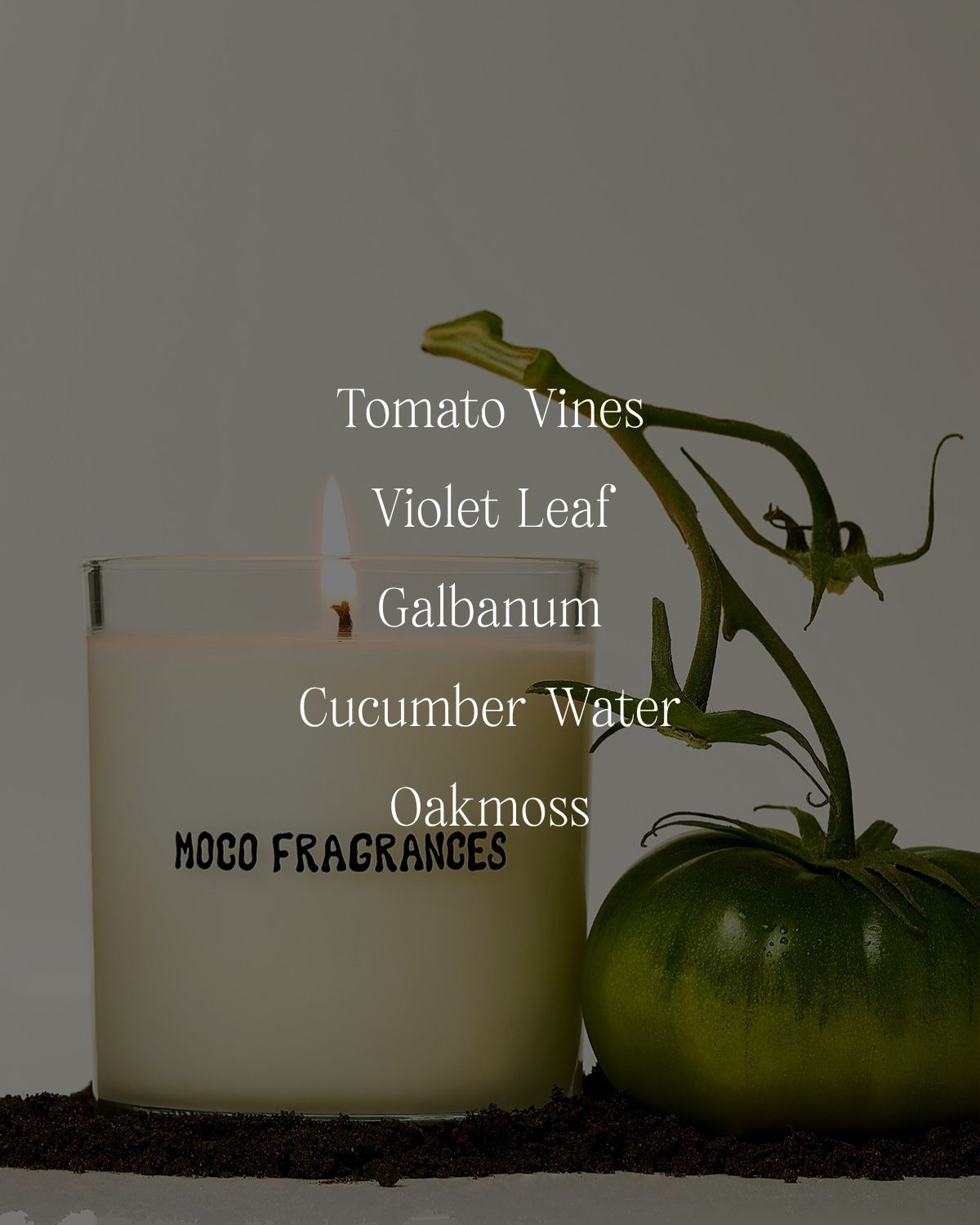 Snapped Stems - Classic Candle - MOCO Candles