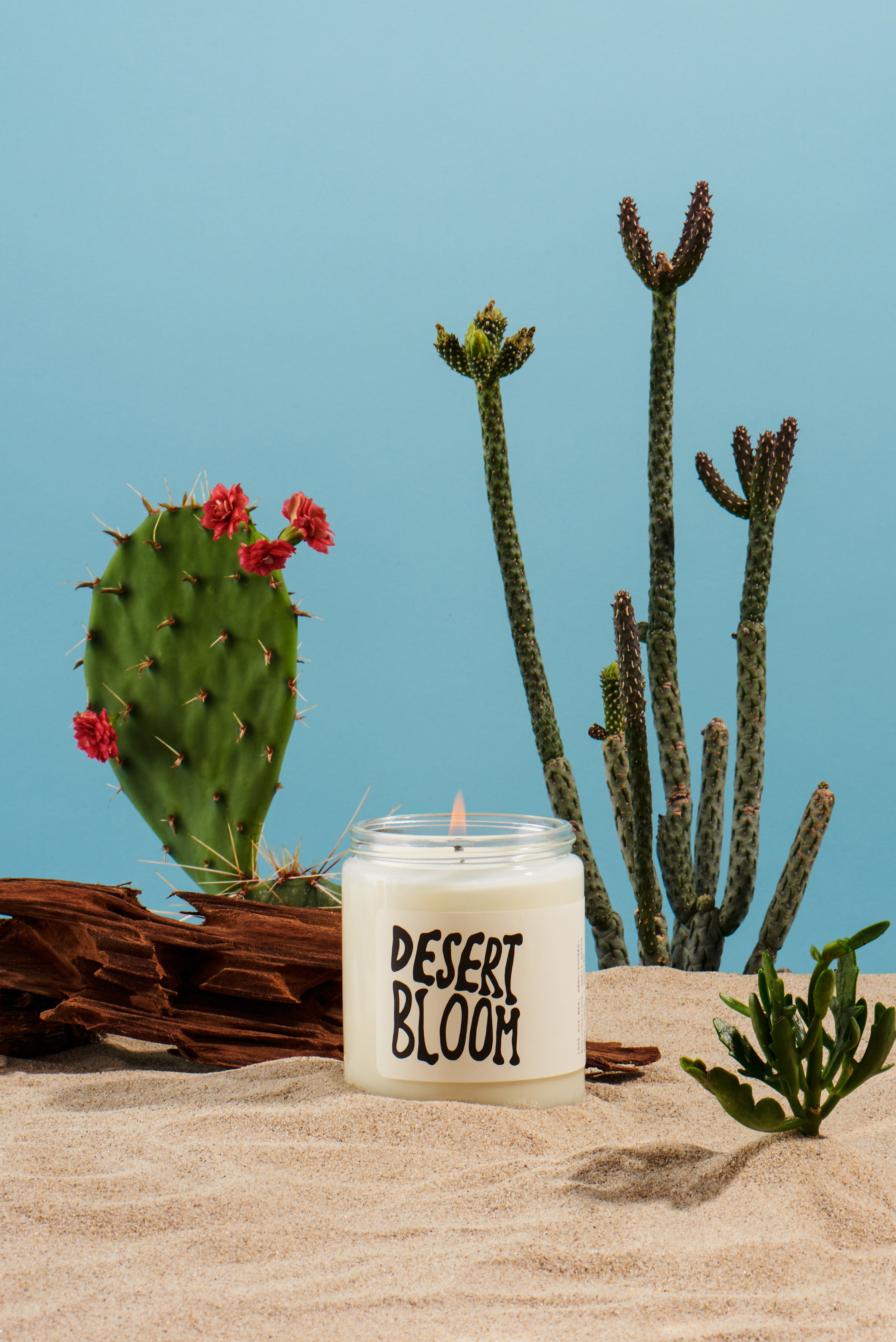 Desert Bloom - Candle - MOCO Candles
