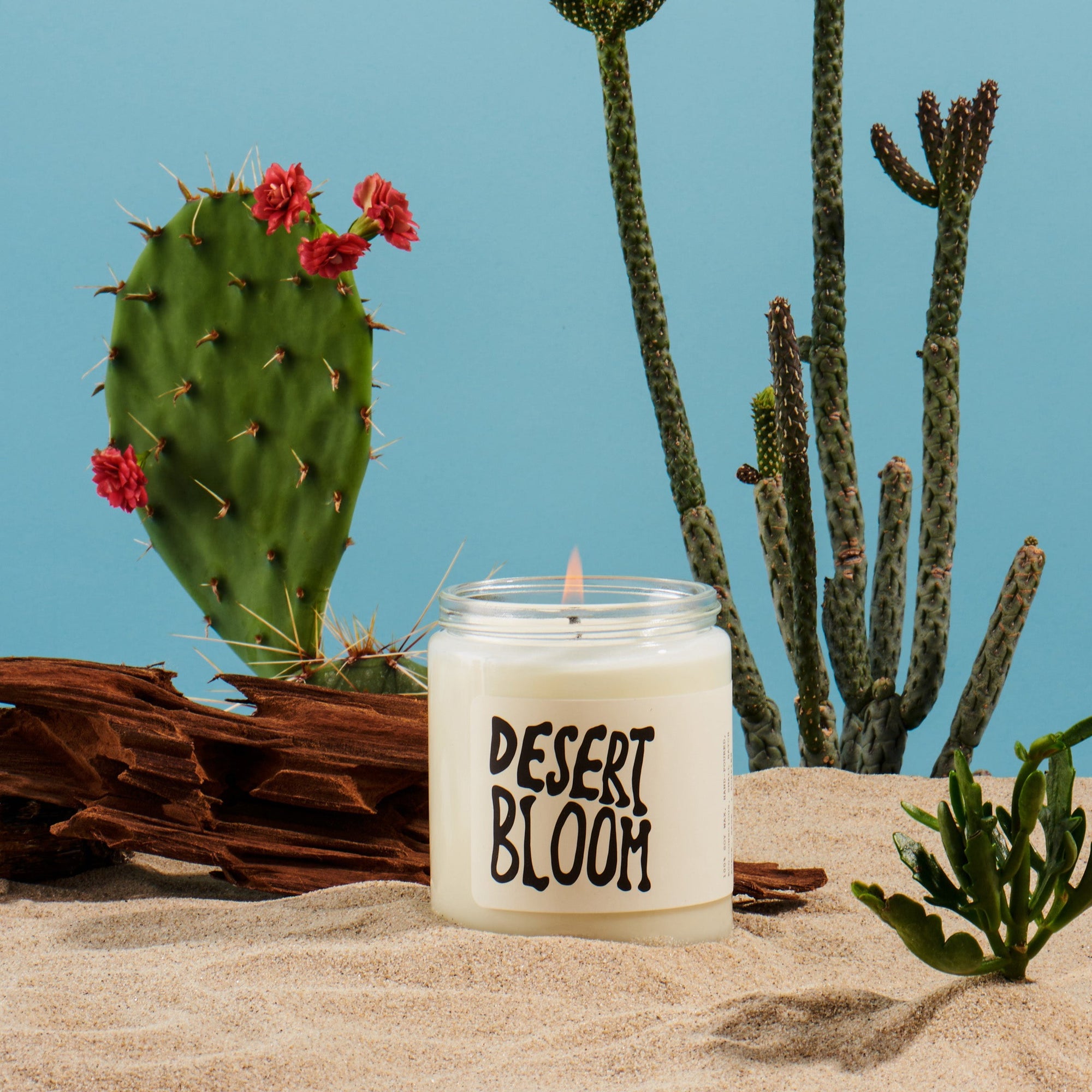 Desert Bloom - Candle - MOCO Candles
