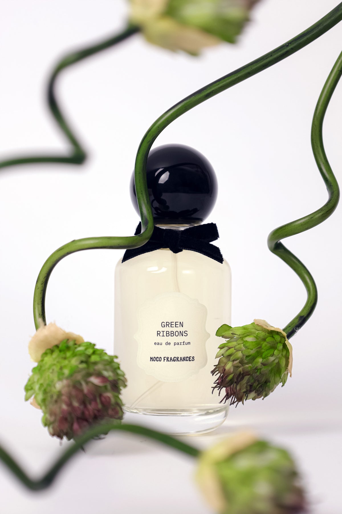 Green Ribbons - Eau de Parfum | MOCO Fragrances