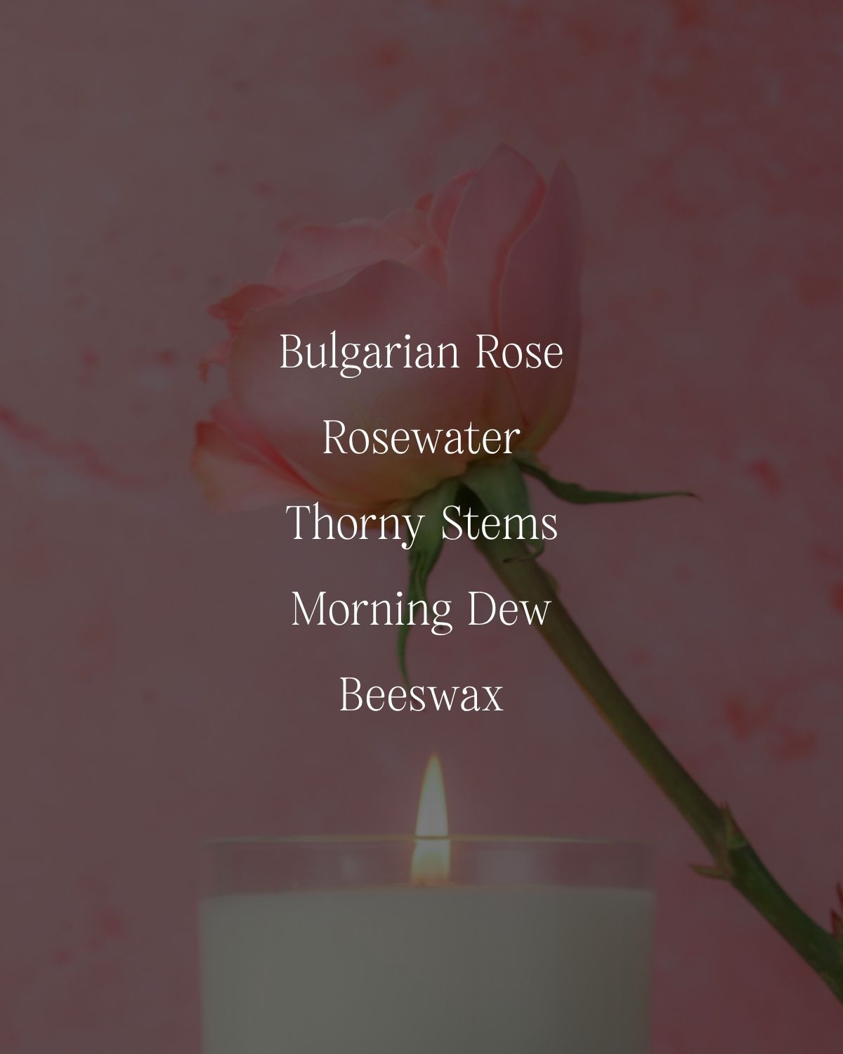 Roses Roses - Classic Candle - MOCO Candles