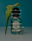 Sea Glass- Eau de Parfum - MOCO Candles